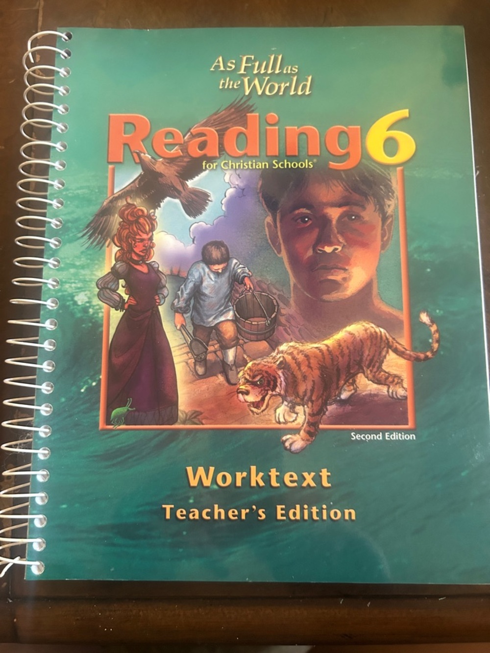 Reading 6 Worktext Teacher's Edition - Green Cover